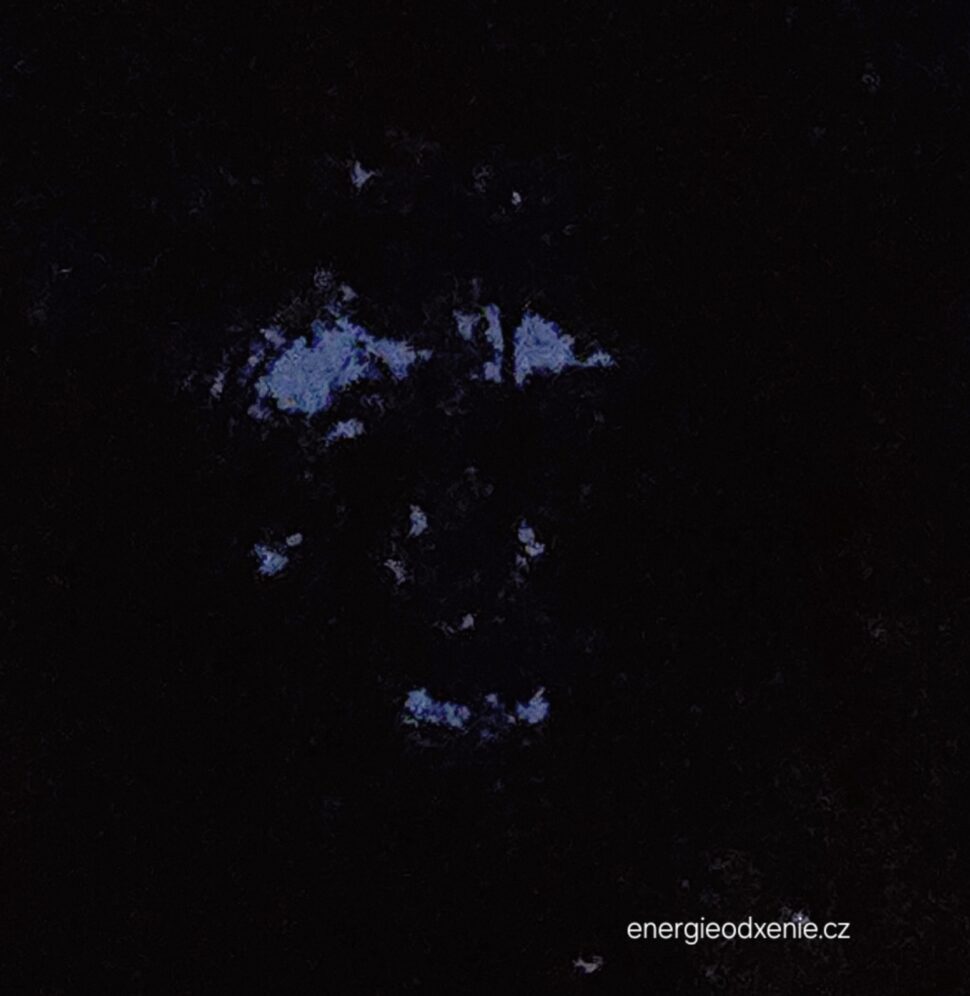 Duch a&nbsp;tvář lesa