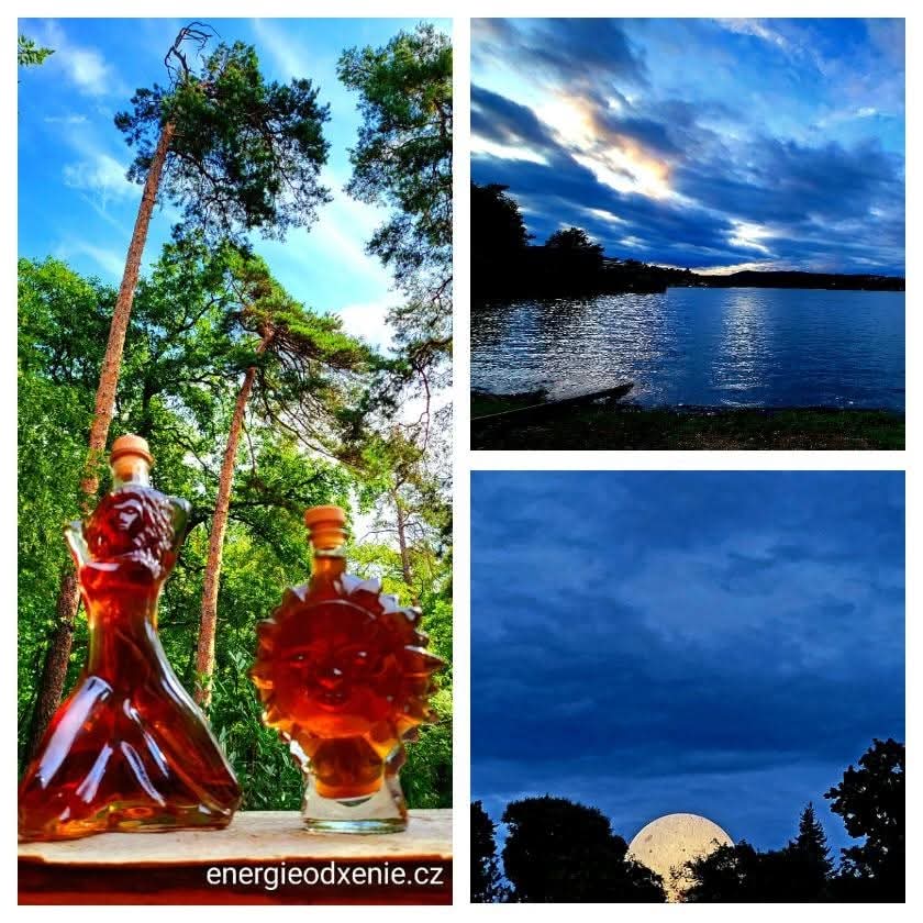 Lví brána, les a&nbsp;úplněk