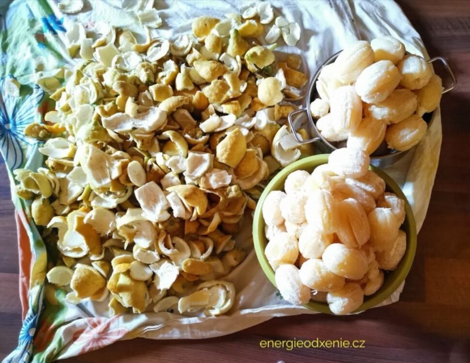 Destilace citrónu na éterický olej a hydrolát