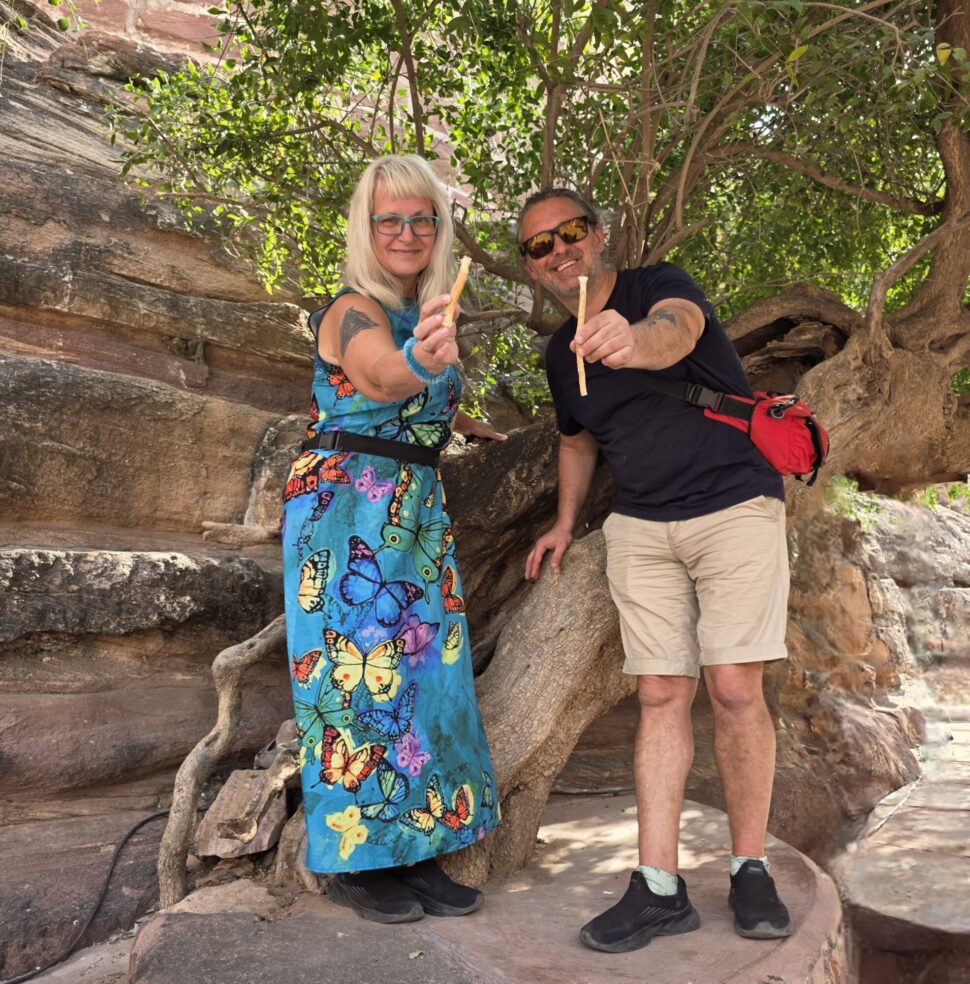 Miswak, Salvadora persica, přírodní zubní kartáček