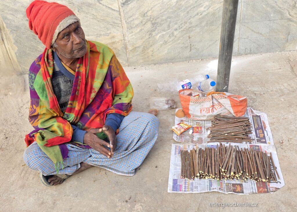 Miswak, Salvadora persica, přírodní zubní kartáček ve&nbsp;Varanasi 