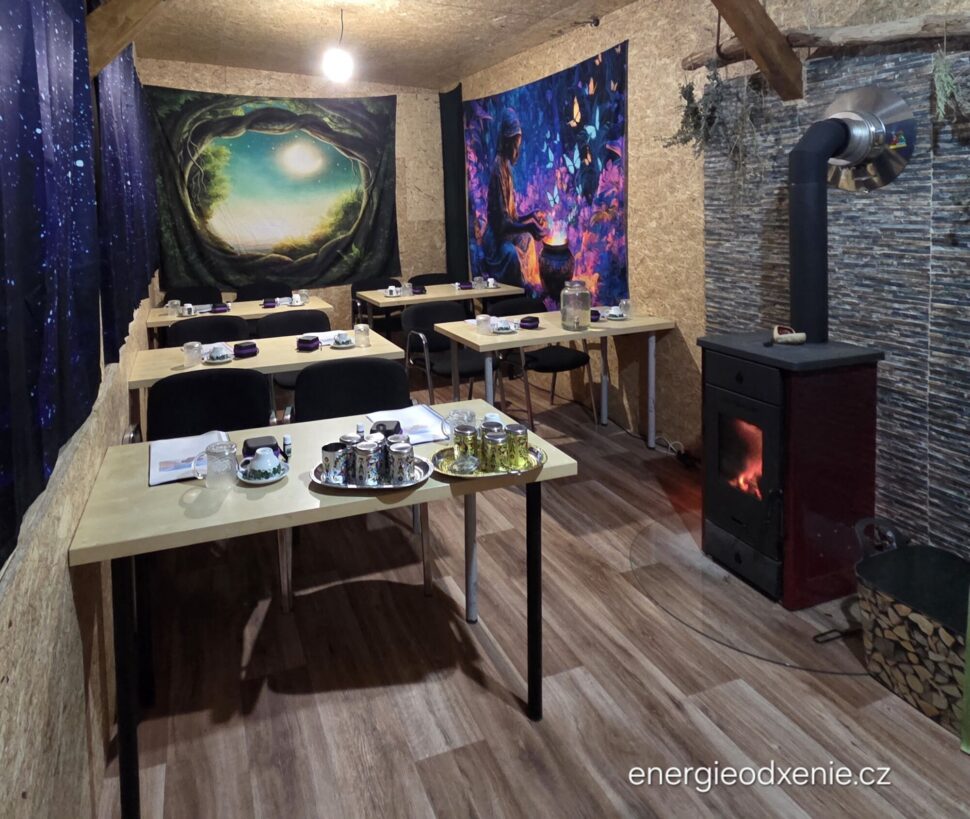 Kurzy u&nbsp;nás v&nbsp;lese, atmosféra domova