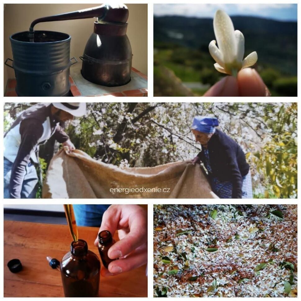 Neroli