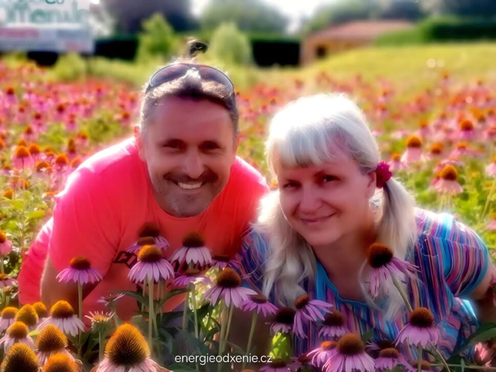 Echinacea